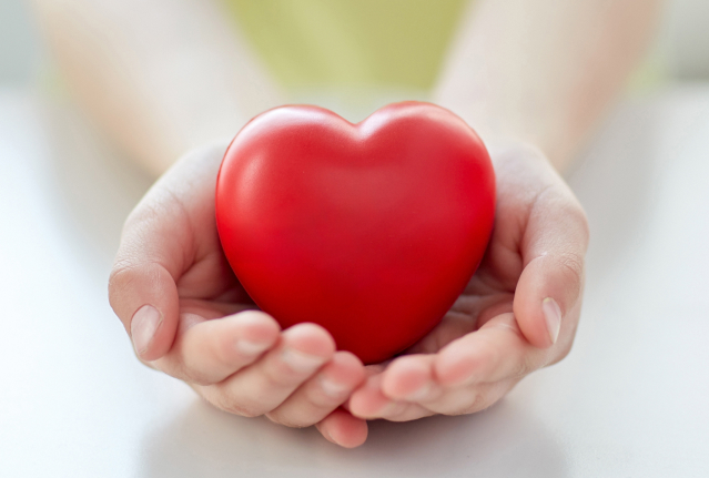 손위에 하트가 올려져있는 이미지